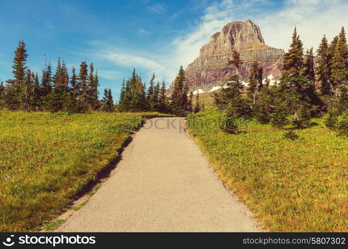 Logan Pass, Glacier National Park