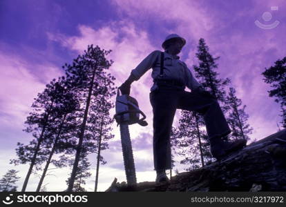 Logger Carrying Chainsaw