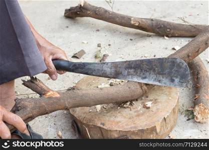 Logger man cutting wood