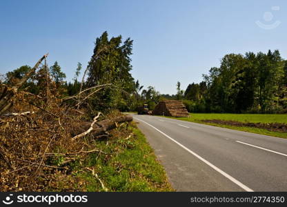 Logging in Southern Bavaria, Germany