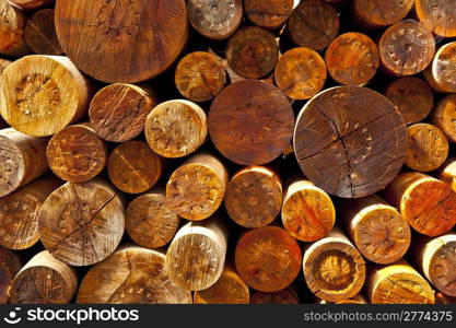 Logging in Southern Bavaria, Germany