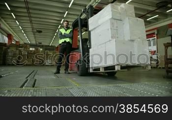 Logistics business and shipping facility, portrait of manual worker operating forklift to move boxes and parcels, man at work in warehouse, worker in industry. 5of19