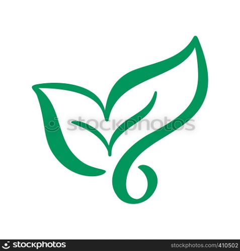 Logo of green leaf of tea. Ecology nature element vector icon. Eco vegan bio calligraphy hand drawn illustration.. Logo of green leaf of tea. Ecology nature element vector icon. Eco vegan bio calligraphy hand drawn illustration