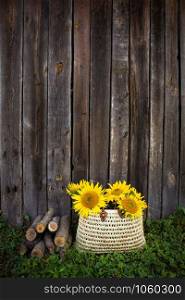 Logs, a bouquet of sunflowers in a straw bag are standing near a wooden old house.. Logs, a bouquet of sunflowers in a straw bag are standing near a wooden house.