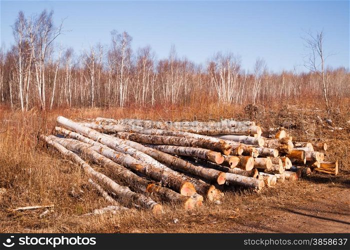 Logs are stacked and ready for transport winter in Minnesota