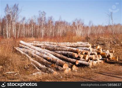 Logs are stacked and ready for transport winter in Minnesota