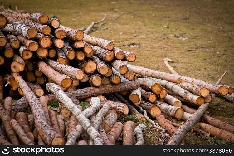 Logs lying on a field in Sweden