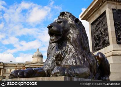 London Trafalgar Square Lion in UK england