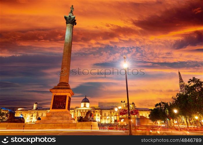 London Trafalgar Square sunset Nelson column in England