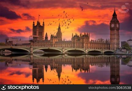 London Westminster and Big Ben reflected on the thames at sunset with birds flying over the city