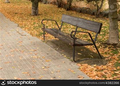 Lone bench on a ride full with yellow fallen leaves in the autumn
