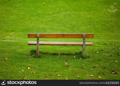 lone bench on green grass background