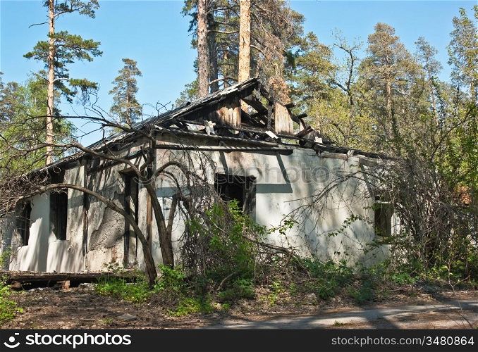 lone burnt house in the woods