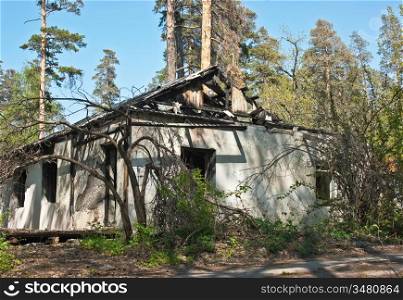 lone burnt house in the woods