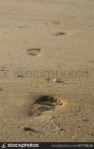 lone footprint at beach during sunset