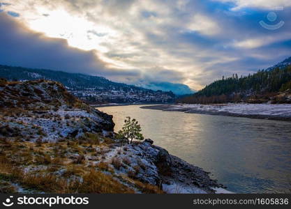 Lone green tree along Fraser River in snowy canyon 