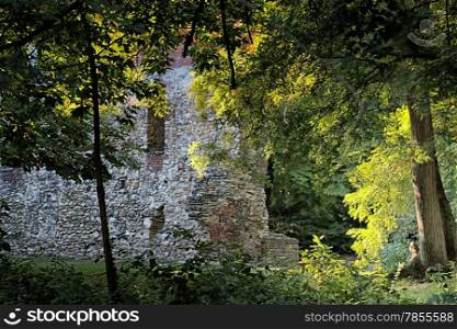 Lone woman sitting under trees among green bushes and old bricks wall in the forest in mystical and magical fairy atmosphere