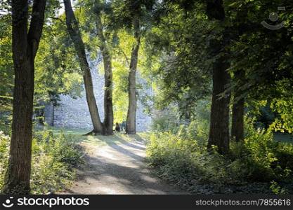 Lone woman sitting under trees among green bushes and old bricks wall in the forest in mystical and magical fairy atmosphere