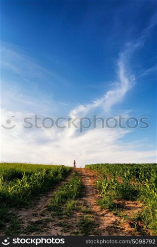 Lone woman standing on a dirt road leading off into the sky. Summer landscape with green corn cereals field. Ground road and clouds.