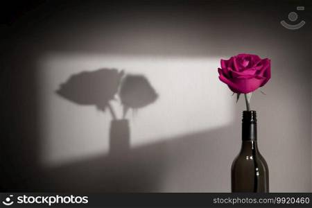 Lonely and Sadness Feeling Concept. Single Pink Rose Flower Shading Shadow on the Wall as Couple. Symbol of  Love and Valentines Day