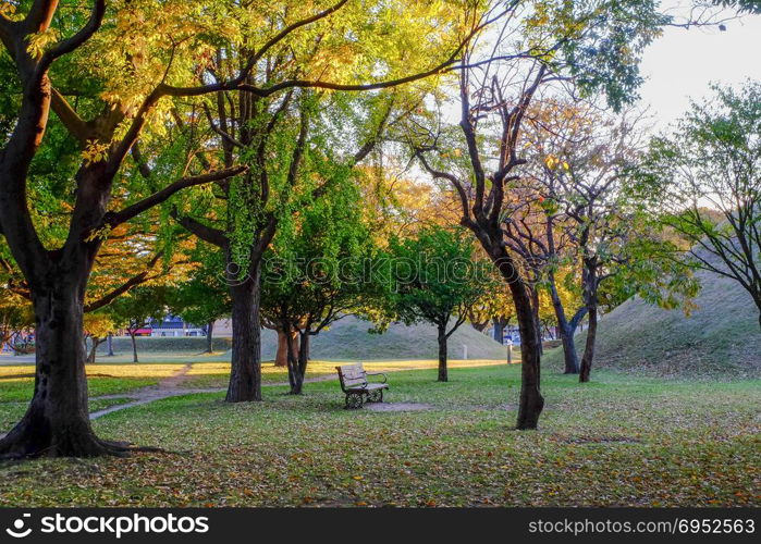 Lonely Bench in Tumuli park royal tomb under foliage before sunset