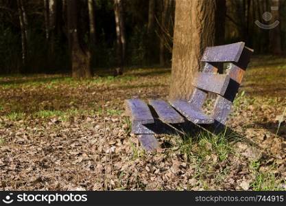 lonely bench under the trees and with the fallen leaves in autumn