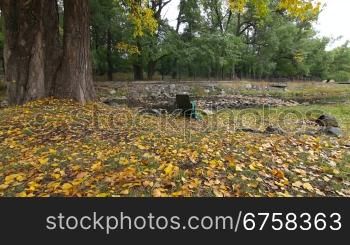 lonely chair in autumn park. Wide Angle, Dolly shot