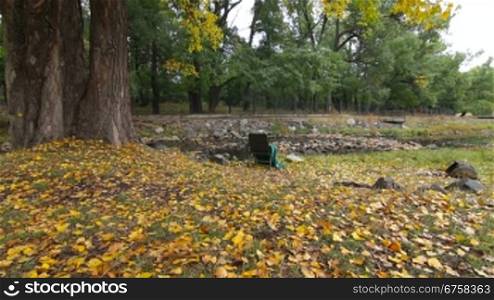 lonely chair in autumn park. Wide Angle, Dolly shot