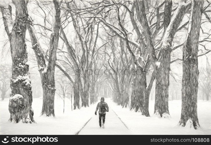lonely male figure walking in a blizzard - alley of old elm trees - historical Oval at Colorado State University campus, Fort Collins, a photo with digital painitng filter (charcoal)