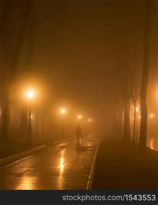 Lonely man walk by foggy park alley in th evening. Kyiv, Ukraine