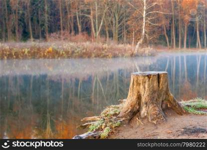 lonely old tree stump near the lake autumn landscape