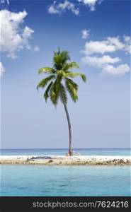 Lonely palm tree on the tiny island in the sea. Maldives.