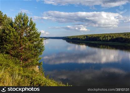 Lonely pine, wild river, cloud reflected, wild forest in Russia, Siberia