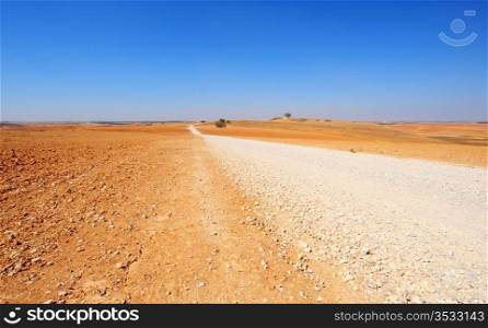 Lonely Road In The Negev Desert, Israel