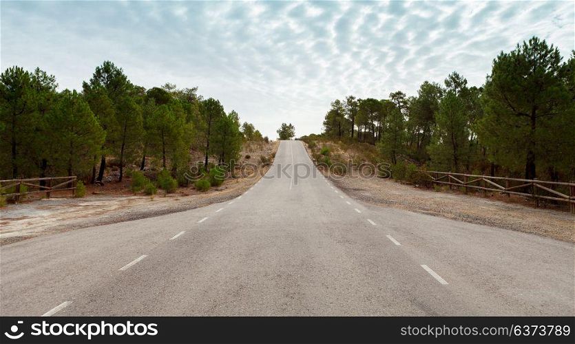 Lonely road with a blue sky of background