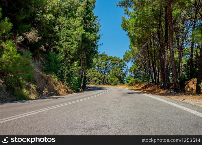 Lonely road with curve in a forest on the island of Rhodes in Greece