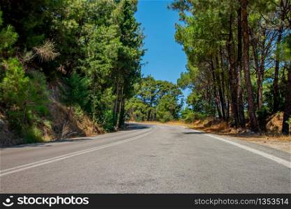 Lonely road with curve in a forest on the island of Rhodes in Greece