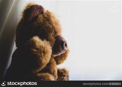 lonely teddy bear looking tru the window.. lonely teddy bear looking tru the window