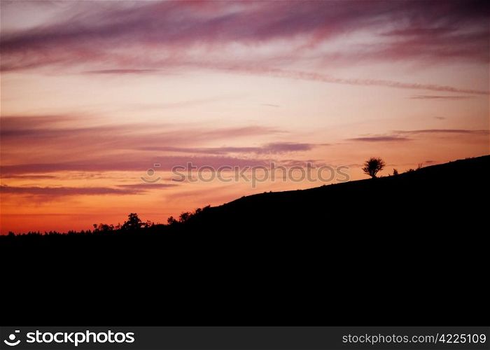 lonely tree on the mountain at sunset