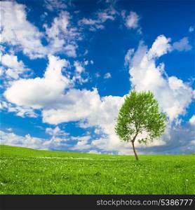 Lonely tree over green spring meadows in the mountains and blue sky