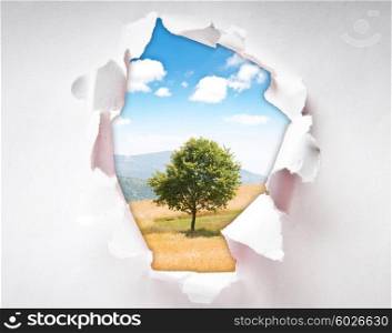 Lonely tree through hole in paper