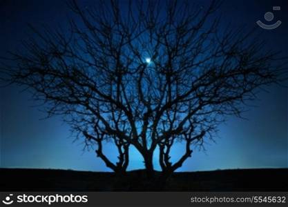 Lonely tree under blue night sky with moon and stars