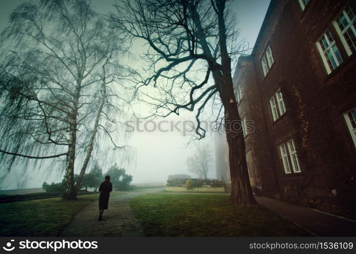 Lonely woman walking in the foggy park in the morning. Fog in the park.