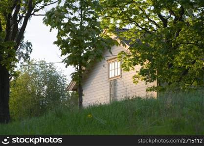 Lonely wooden house surrounded by a wild garden