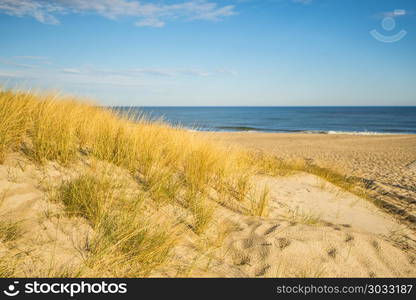 lonesome beach of the Baltic Sea