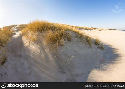 lonesome beach of the Baltic Sea with blue sky and dunes
