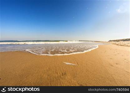 lonesome beach of the Baltic Sea with blue sky and surf and feather