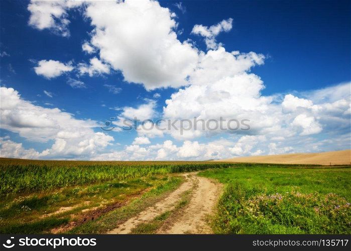 Long and winding rural road crosses the hills and fields. Panoramic countryside view. Long and winding rural road crosses the hills and fields