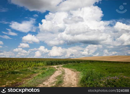 Long and winding rural road crosses the hills and fields. Panoramic countryside view. Long and winding rural road crosses the hills and fields