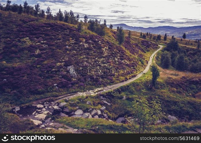 Long and winding trail in the mountains
